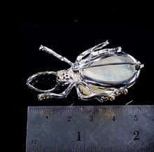 Cargar imagen en el visor de la galería, Insecto Piedra Luna