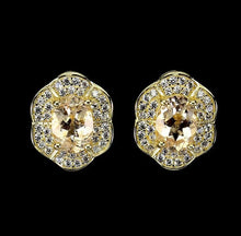 Load image in the gallery viewer, Morganite Gold Earrings